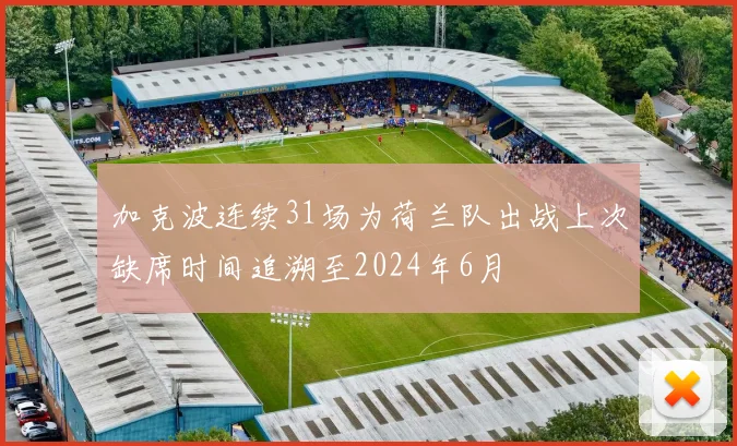 加克波连续31场为荷兰队出战上次缺席时间追溯至2024年6月