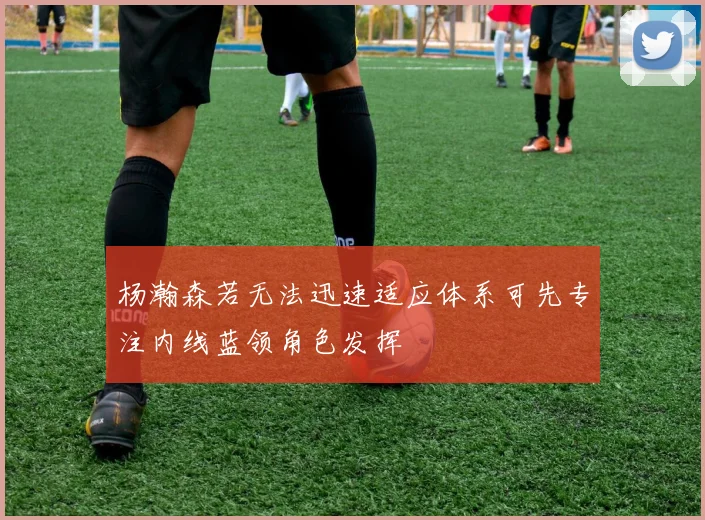 杨瀚森若无法迅速适应体系可先专注内线蓝领角色发挥