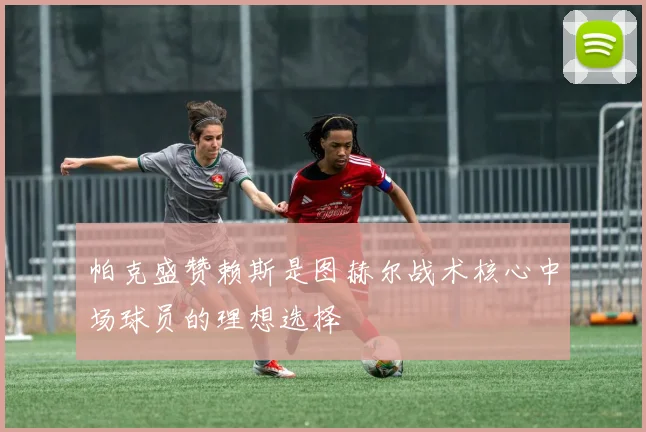 帕克盛赞赖斯是图赫尔战术核心中场球员的理想选择